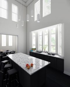 Alaska Black Quartz countertops #3