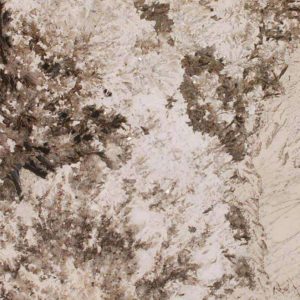 Alpine White Granite countertops #1