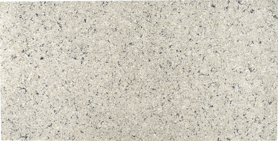 Antico Cloud Quartz countertops #2