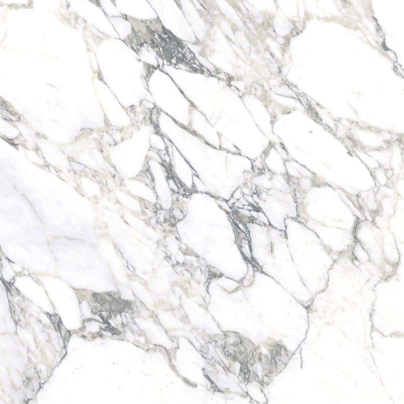Arabascato Polished Porcelain countertops #1