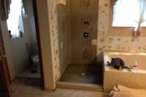 Bathroom Renovation  portfolio #7