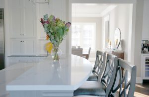 Borghini Quartz countertops #5