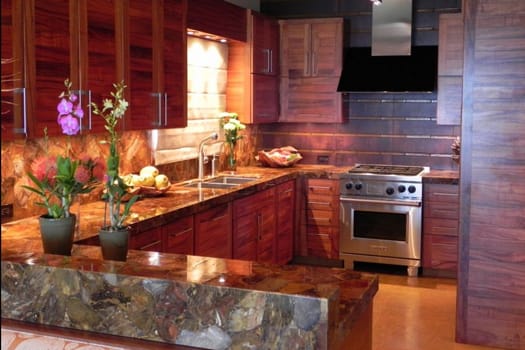 Brown Petrified Wood Kitchen Precision Stone Design