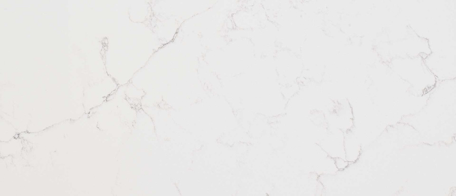 Calacatta Botanica Quartz countertops #1