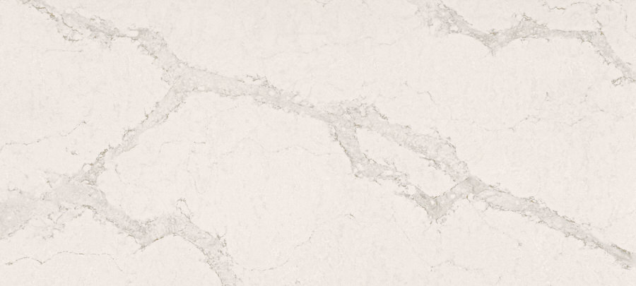 Calacatta Nuvo Quartz countertops #2