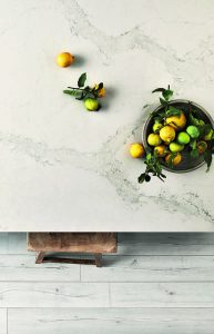 Calacatta Nuvo Quartz countertops #3