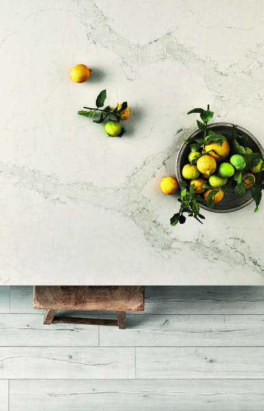 Calacatta Nuvo Quartz countertops #3