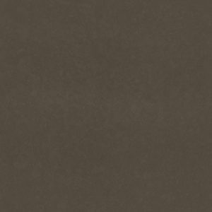 Canongate Quartz countertops #1