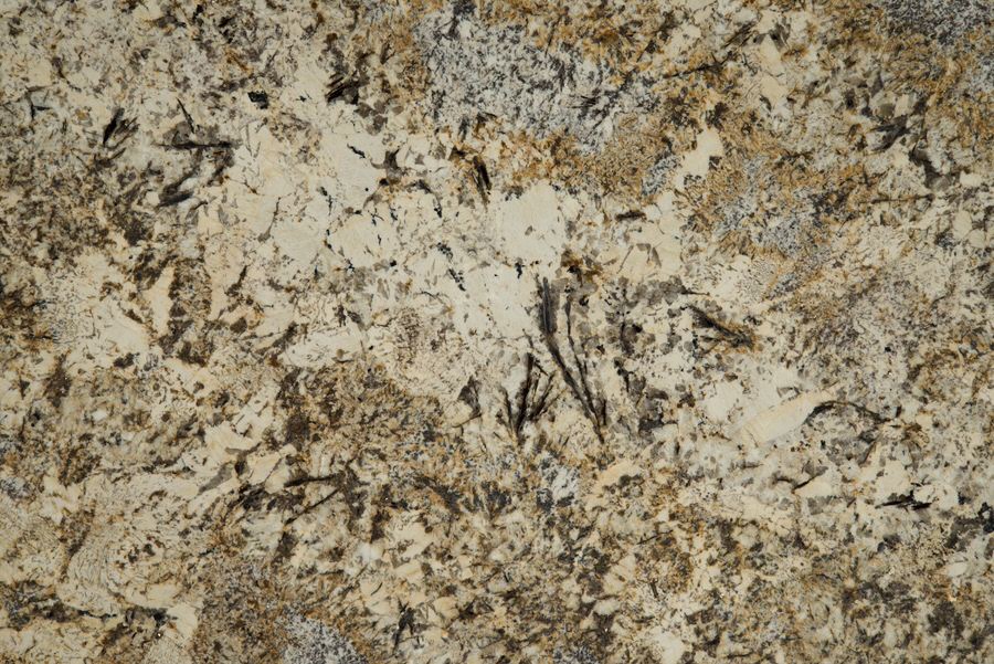 Caravelas Gold Granite countertops #1