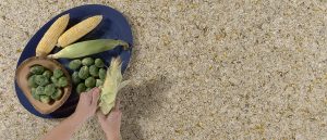 Chantilly Taupe Quartz countertops #3