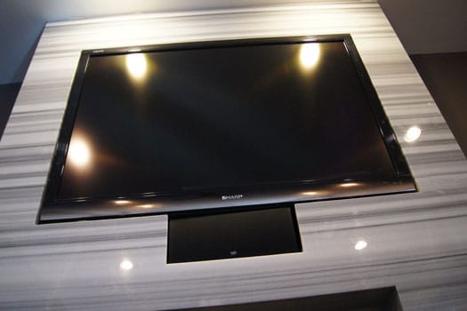Custom Fireplace  portfolio #4