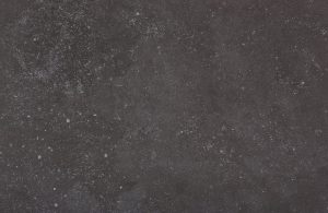 Fossil Porcelain