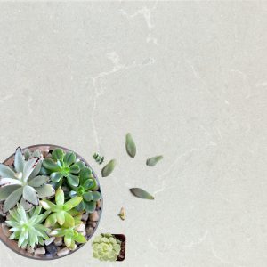 Grey Savoie Quartz countertops #4