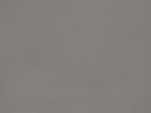 Leaden Quartz countertops #1