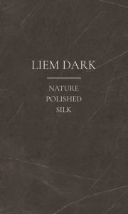 Liem Dark Porcelain