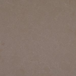 Ludlow Tan Quartz countertops #1