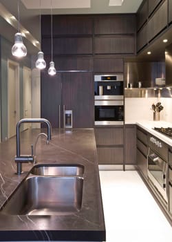 Modern Kitchen  portfolio #3