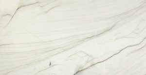 Mont Blanc Quartzite countertops #1