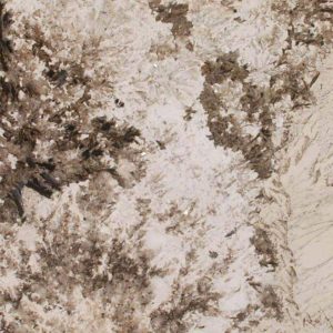Patagonia Granite countertops #1