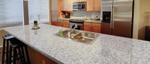 Pearl Gray Quartz countertops #4