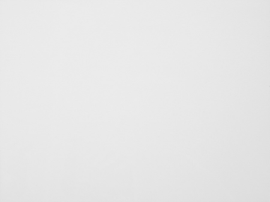 Premium Plus White Quartz countertops #1