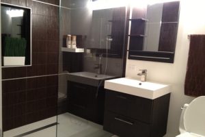 Royal Blanc Quartz Bathroom Remodel  portfolio #1