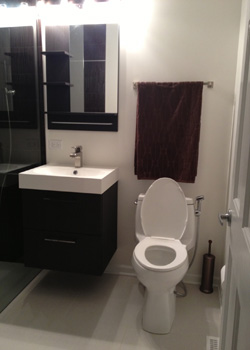 Royal Blanc Quartz Bathroom Remodel  portfolio #5