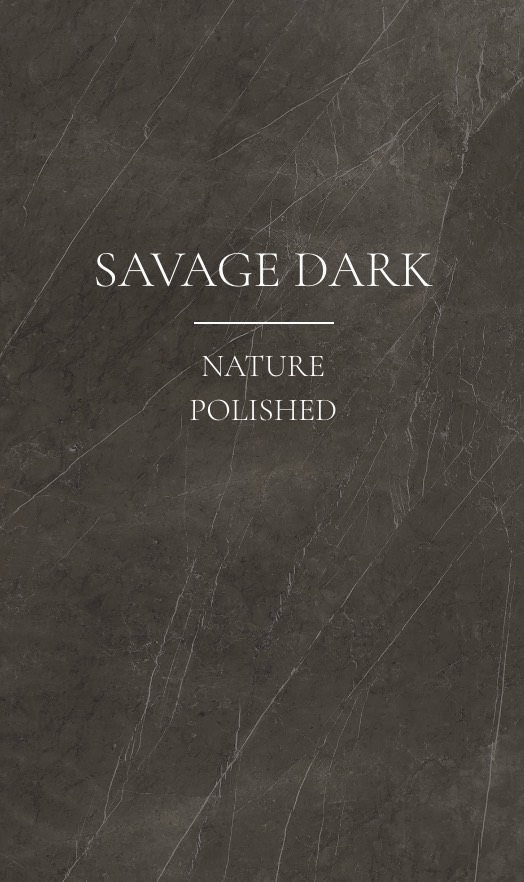 Savage Dark Porcelain countertops #1