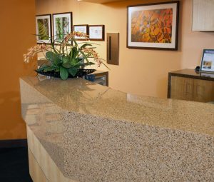 Sutton Quartz countertops #2