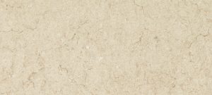 Taj Royale Quartz countertops #2