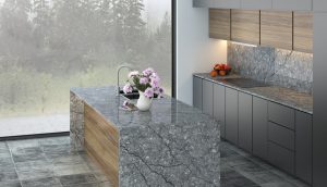 Thunder Grey Quartz countertops #5