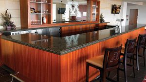 Welshpool Black Quartz countertops #2