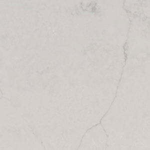 Calacatta Monaco Quartz countertops #1