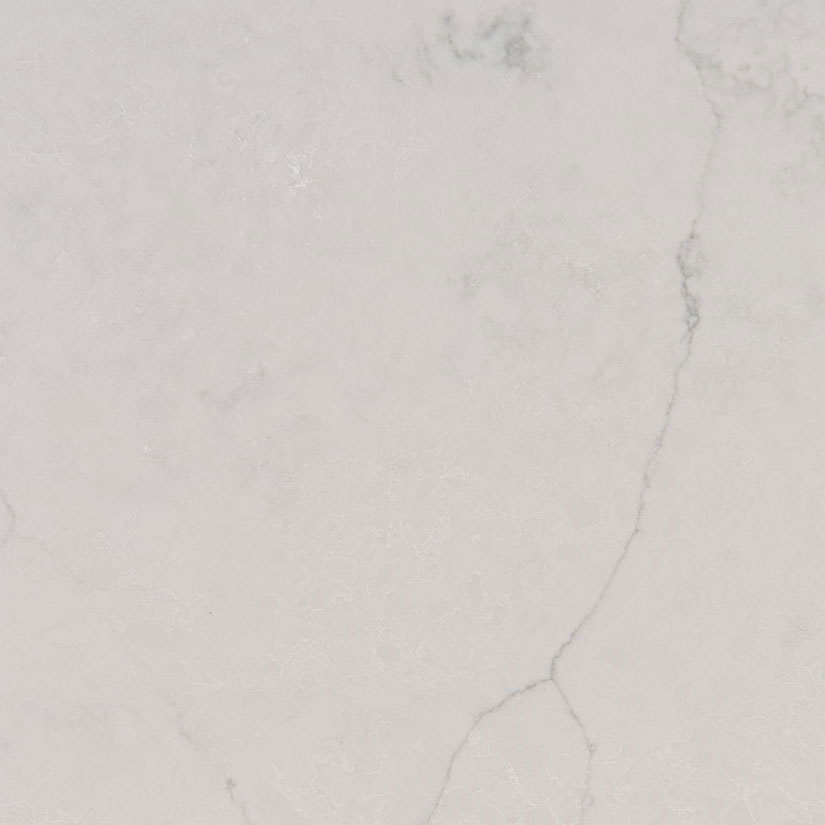 Calacatta Monaco Quartz countertops #1