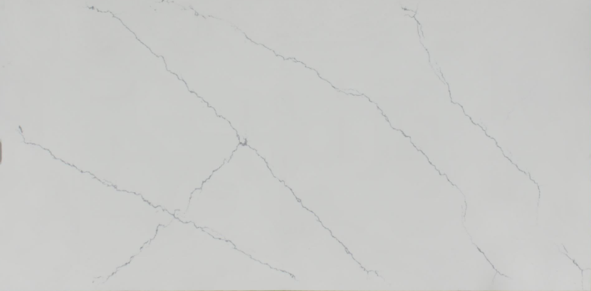 Calacatta Bravo Quartz countertops #2