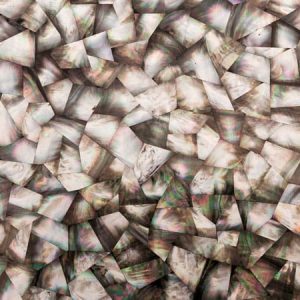 Mother of Pearl Black