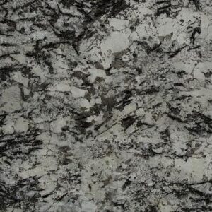 Delicatus White