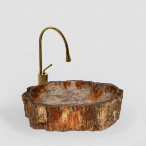 E2614 Petrifried Wood